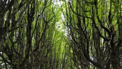 Świątniki Górne - Mogilany