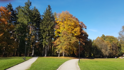 ZACISZE..16.10.2017 10:19