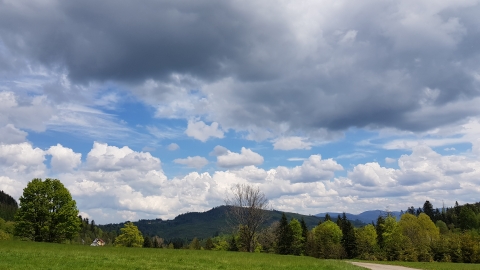 Rycerka Dolna - Sól Bór - Beskidek - Kiczora - Rycerka Dolna