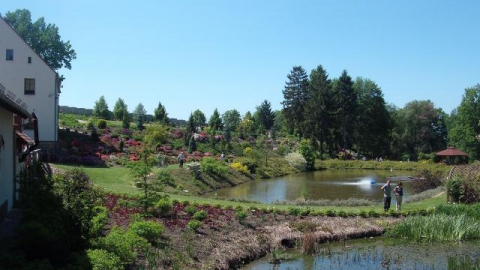  20.05.2012. z Wrocławia w krainę rododendronów