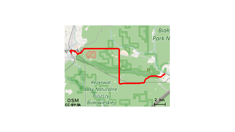 Białowieża - Punk Mocy - Hajnówka