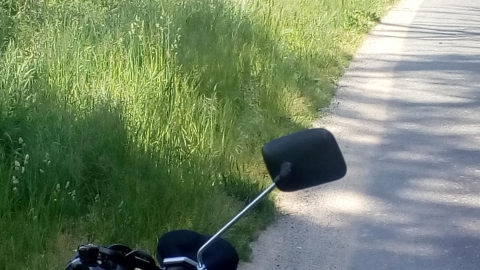 Ząbkowice- Niemcza-- Gilów- Dzierżoniów- Przedborowa- Ząbkowice