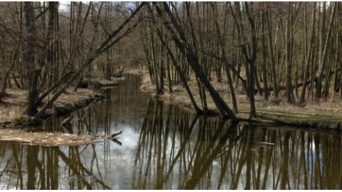 Rogoźno-Owczegłowy-Rogoźno