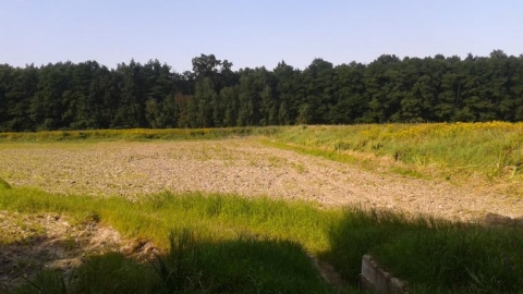 Pętla na południe od Rawicza