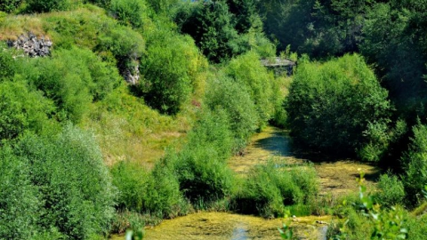 A - Szaflary-Maruszyna-Zaskale