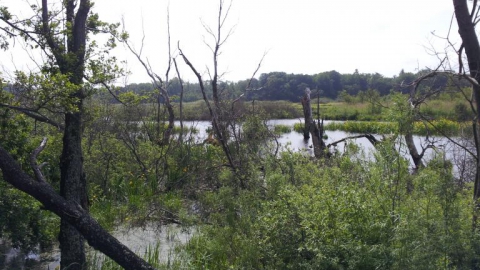 Nadmorska ścieżka Kołobrzeg-Podczele