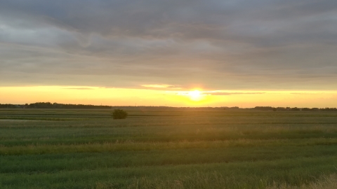 Mościce-Ostrów-Velo-Glów-Velo-Ostrów-Mościce PKP