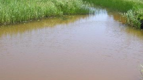 Mniów  - rezerwat przyrody 