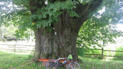 Wołkowyja - Polana - Wołkowyja