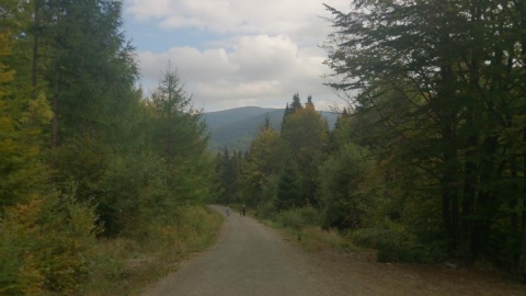 Liszna - Solinka - Żubracze - Majdan 