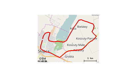 Słupca - Koszuty - Młodojewo - Słupca