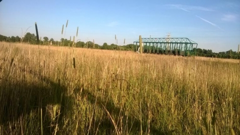 Brzesko-Okulice-Borek