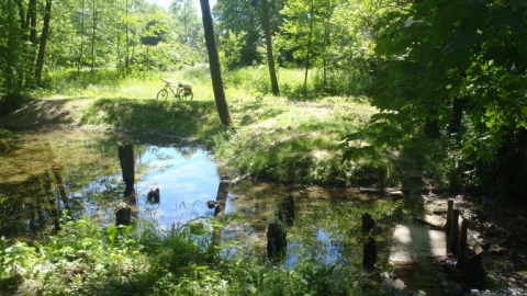 Do źródła Bystrzycy 