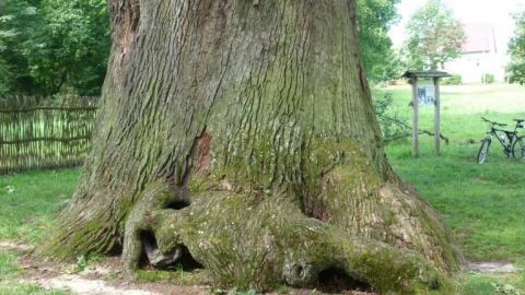 WU- Uhrusk- Hniszów- Bukowa M.- WU