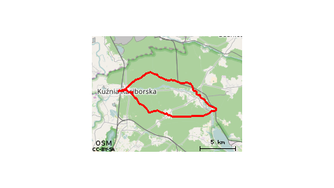 Kuźnia Raciborska - Paproć