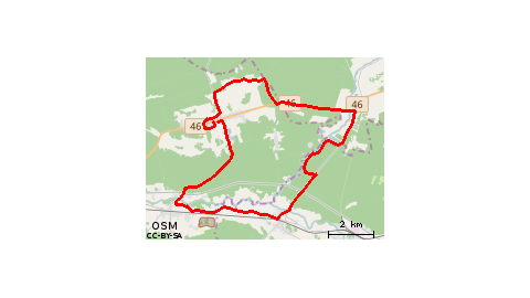 Grodzieckie lasy i okolice