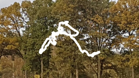 WOJANÓW...14.10.2017 11:32