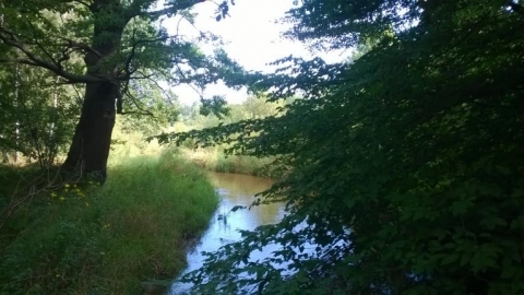 Turawa - Kochanowice