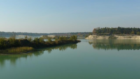 Lasy pożarzyska 1992