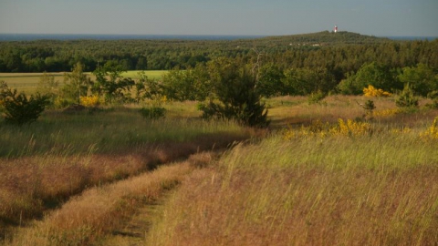 Zielonka-Łeba-Sarbsk-Zielonka