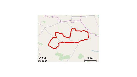 Kolosy Dębiany Zięblice