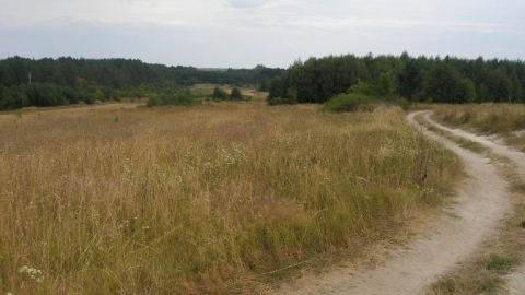 Wola Uhruska - Okuninka 