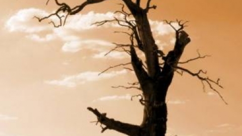 Września - Strzałków - Września