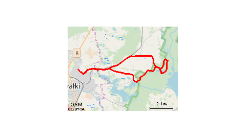 Suwałki,Gałęziste, Koleśne 