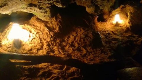 Wejherowo-Puszcza Darżlubska-Wejherowo