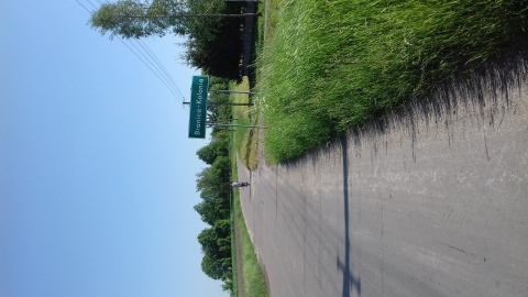 Wohyń Zbulitów Branica Wohyń