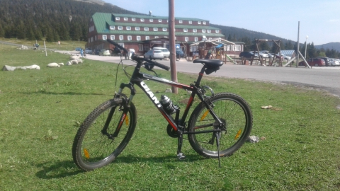 Szlak pieszy niebieski