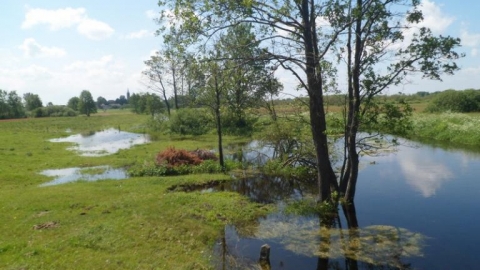 Mińsk Mazowiecki - Wielgolas