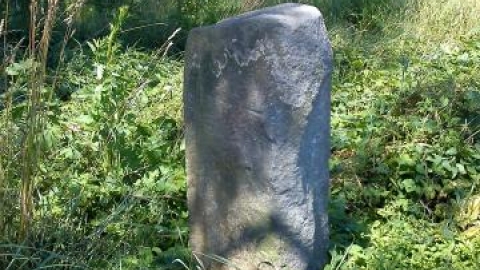 do Pogorzelisk z Lubina