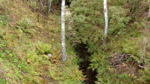 Trzcianka - Smolarnia - Straduń