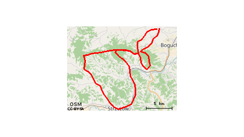 8.06.2014 r. - Strzyżów