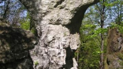 Do rezerwatu przyrody 