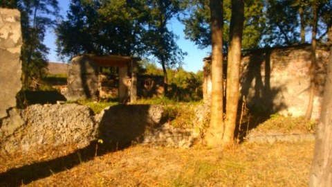 Dąbie- Przylasek Rusiecki