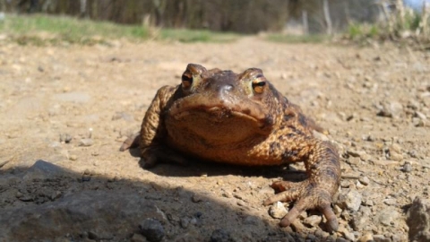 Moja trasa (2015-04-11, 17:09)