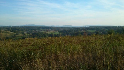 Kraków - Podstolice - Golkowice