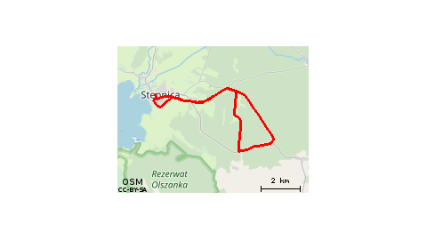 Bolesława Krzywoustego 7