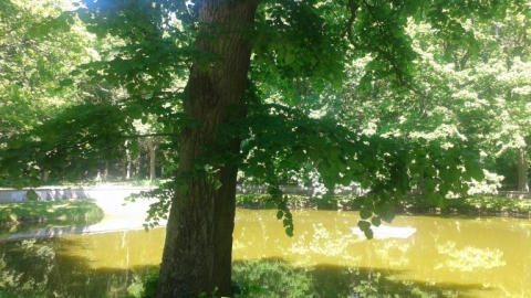 Kołobrzeg - Dźwirzyno