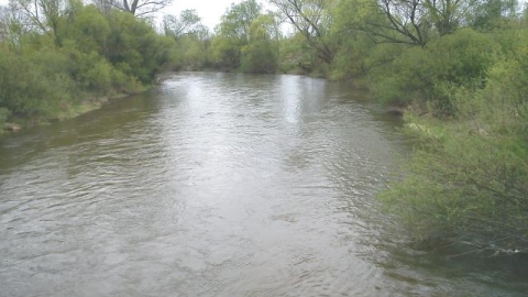 Wierzbowa - Trzebień - Leszno Górne