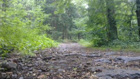 Sobieszów - Chojnik - Zachełmie