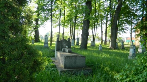 Na wschód Puszczy Niepołomickiej