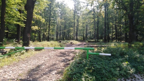 Jaworze-Górki wilekie-Skoczów