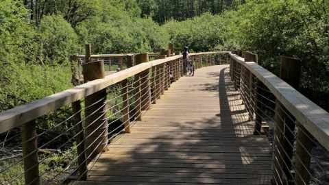 Rezerwat Łosiowe Błota