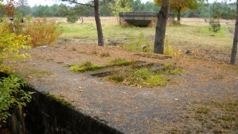 Nowa Dęba - Blizna - Sędziszów Młp.