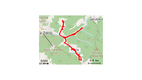 Leśna Zieleniewskiego Roma