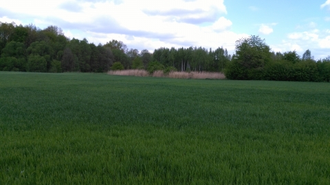 Nowy Bytom PRZEZ Chudów