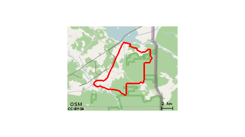 A bit of the Bialowieza Forest